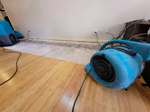 Professional Water Damage Repair technician working in Greenville, AL